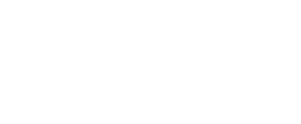 Phenix Salon Suites Seminole Logo